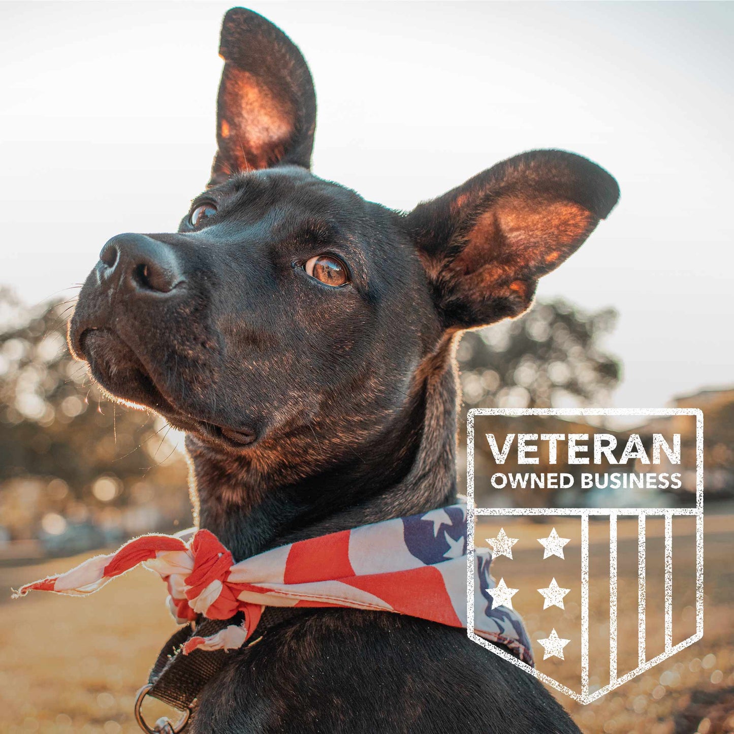 iHeartDogs - I Love You To The Moon & Back- The Ultimate Garden Solar Lantern for Dog Lovers -Faire