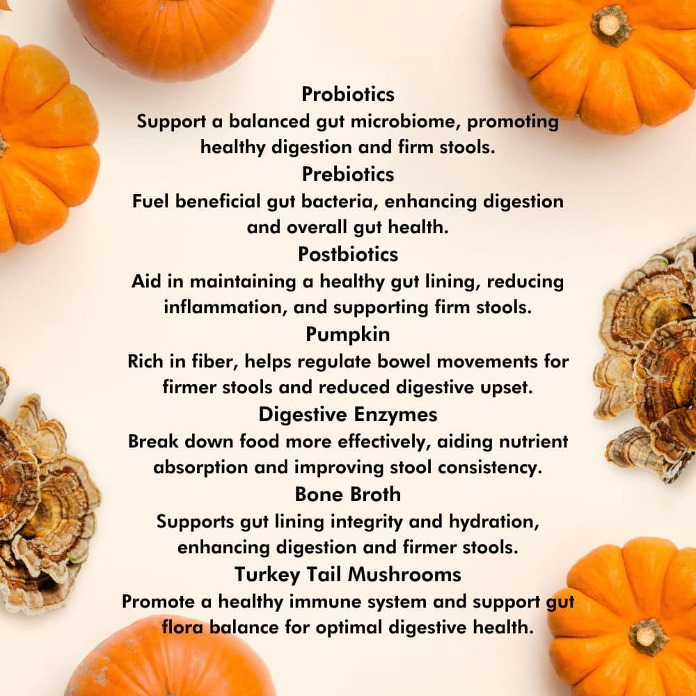 iHeartDogs Pupkin™ Probiotics, Prebiotics, & Postbiotics for Dogs with Pumpkin, Gut Soothing Bone Broth & Mushrooms- 30 scoops
