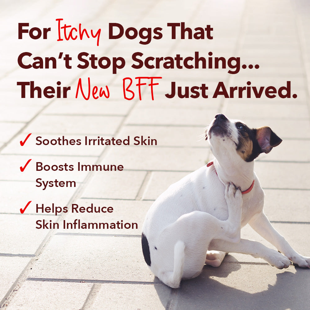 BUY 3 BAGS & SAVE iHeartDogs Allergy & Itch Relief Chews for Dogs
