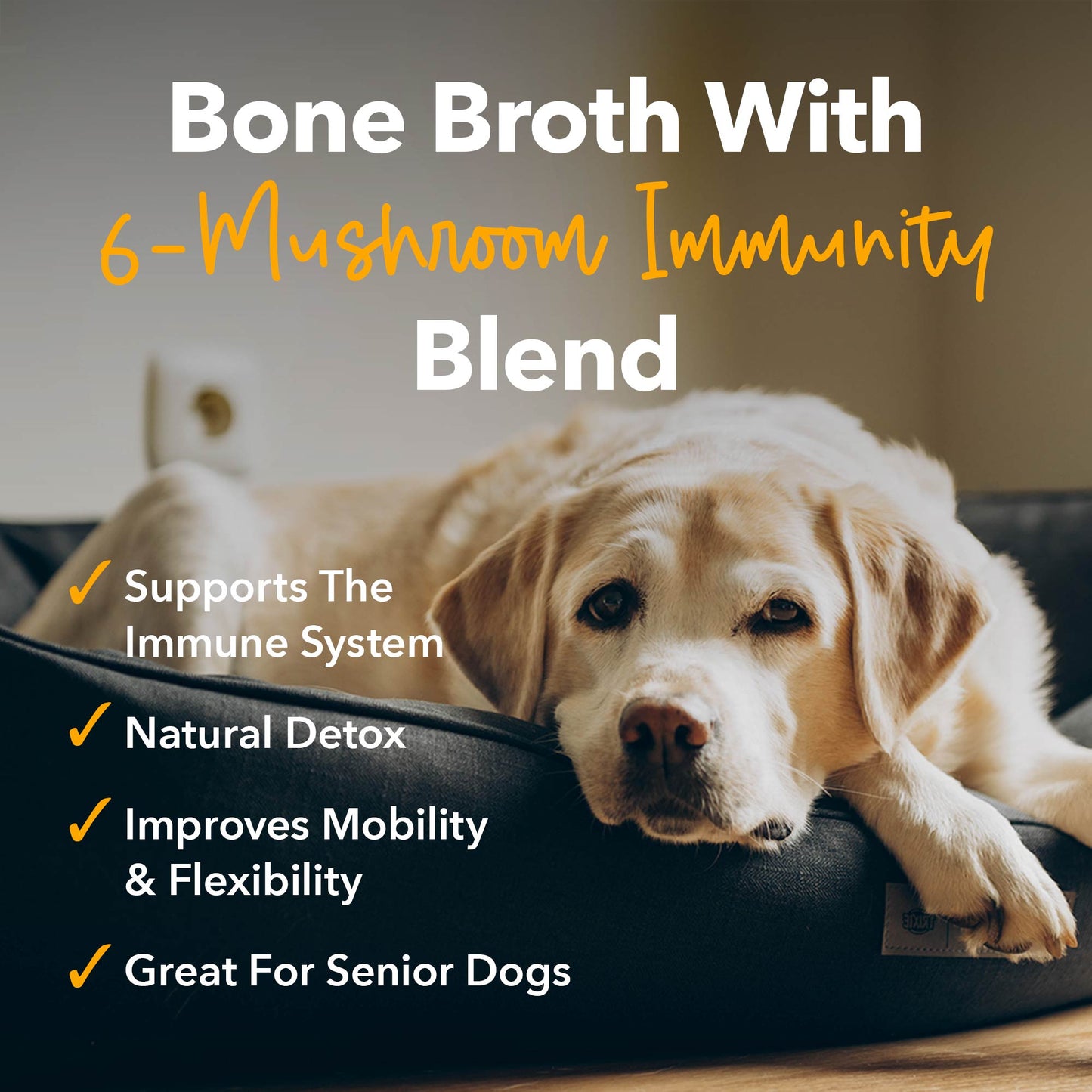 iHeartDogs Mushroom Bone Broth For Dogs Immune Support Powder - 90 scoops