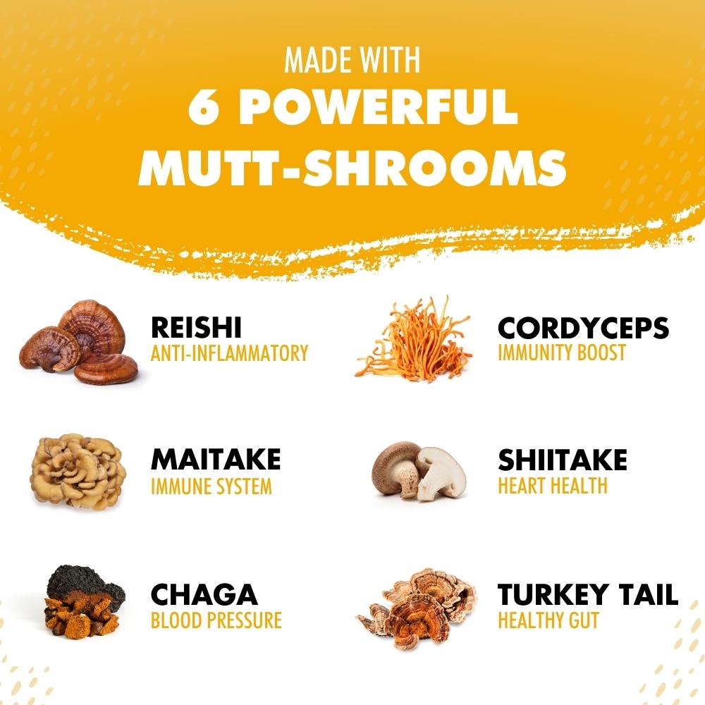 BUY 2 BAGS AND SAVE Mushroom Bone Broth For Dogs Immune Support Powder