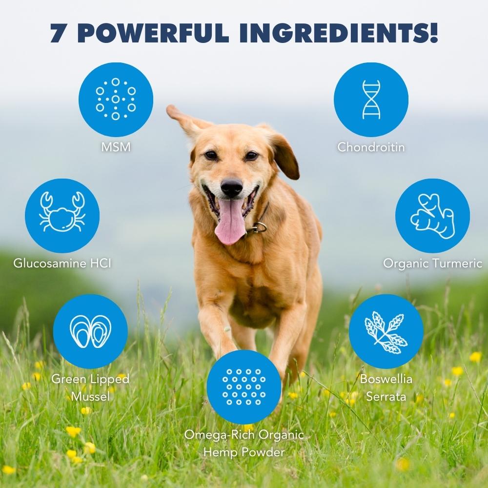 BUY 2 BAGS & SAVE iHeartDogs Hip and Joint Supplement for Dogs - Advanced 8-in-1 Dog Joint Supplement Chews with Glucosamine, Chondroitin, Turmeric & MSM - Bacon Flavor, 90 Count