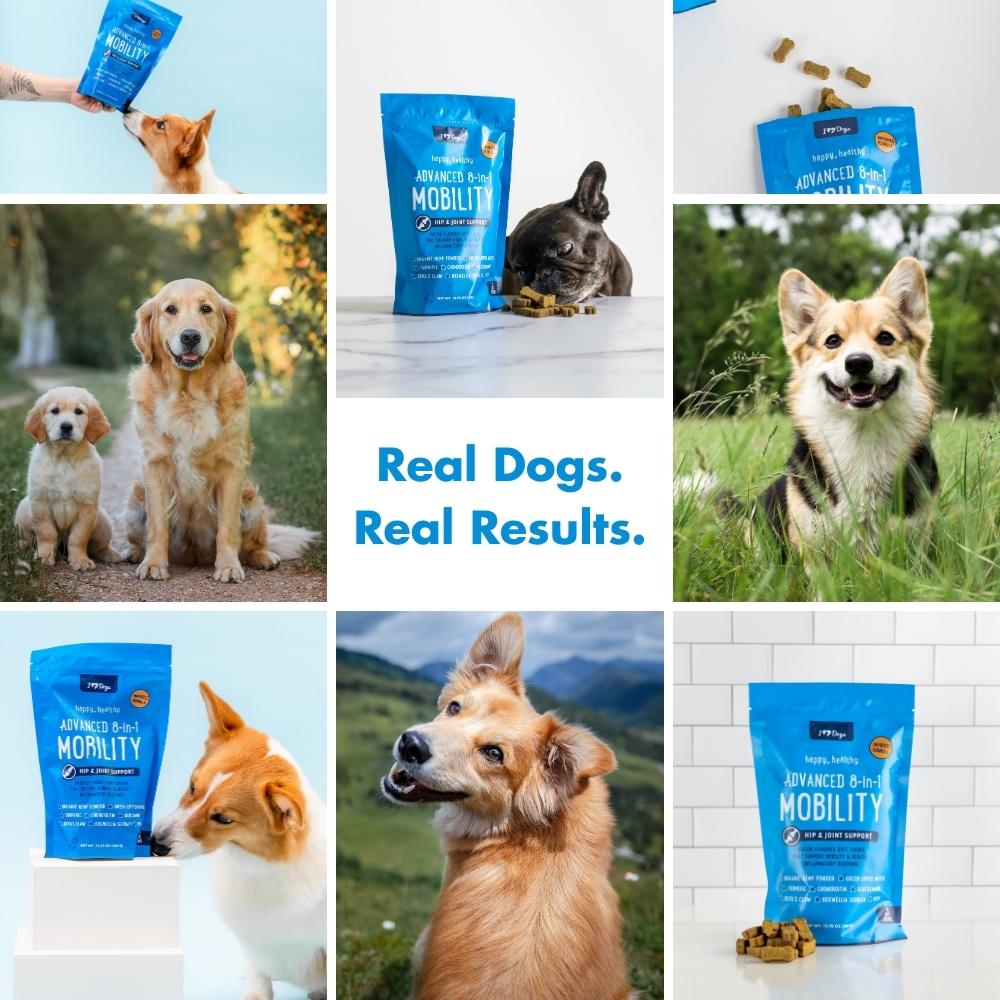 BUY 3 BAGS & SAVE iHeartDogs Hip and Joint Supplement for Dogs - Advanced 8-in-1 Dog Joint Supplement Chews with Glucosamine, Chondroitin, Turmeric & MSM - Bacon Flavor, 90 Count