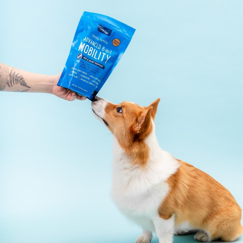 iHeartDogs Hip and Joint Supplement for Dogs - Advanced 8-in-1 Dog Joint Supplement Chews with Glucosamine, Chondroitin, Turmeric & MSM - Bacon Flavor, 90 Count
