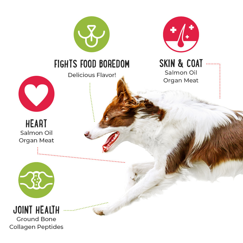 BUY 2 BAGS AND SAVE - Happy, Healthy™️ Nutrition Boost Chicken Food Topper- 8 oz bags