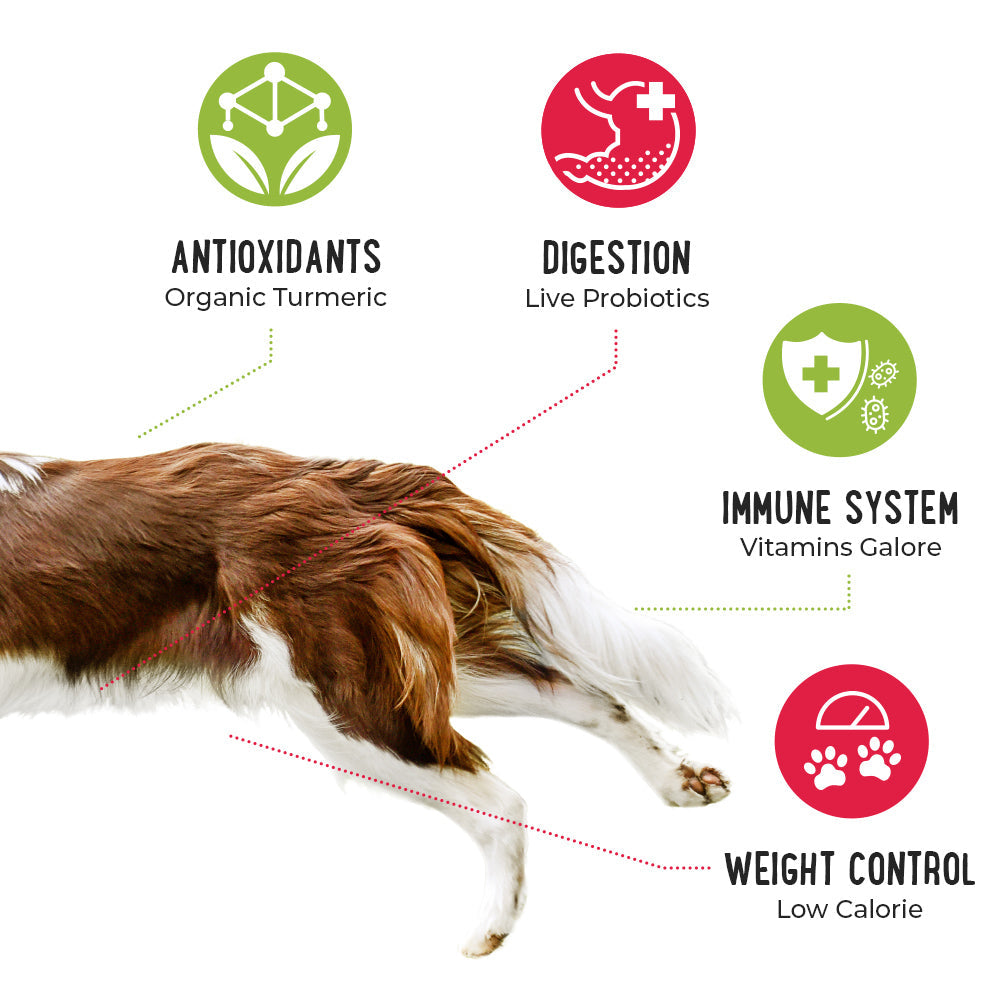 BUY 4 BAGS AND SAVE - iHeartDogs Nutrition Boost Beef Food Topper- 8 oz bags
