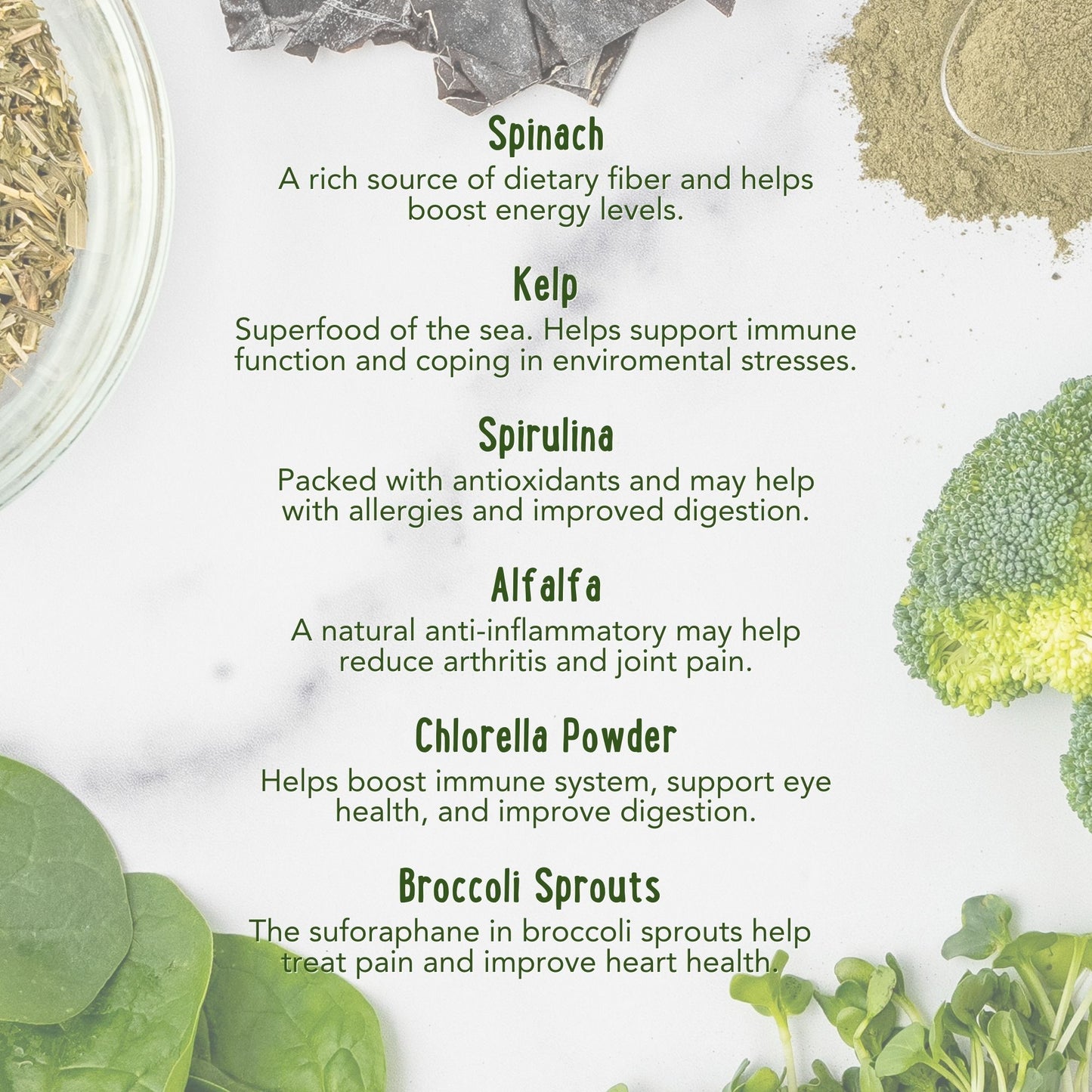 BUY 2 JARS & SAVE Super-Greens: Vitamin, Mineral & Probiotic Supplement for Dogs with Spirulina, Kelp, Green Tea, Spinach, Chlorella, & Brocolli Sprouts - 90 Scoops