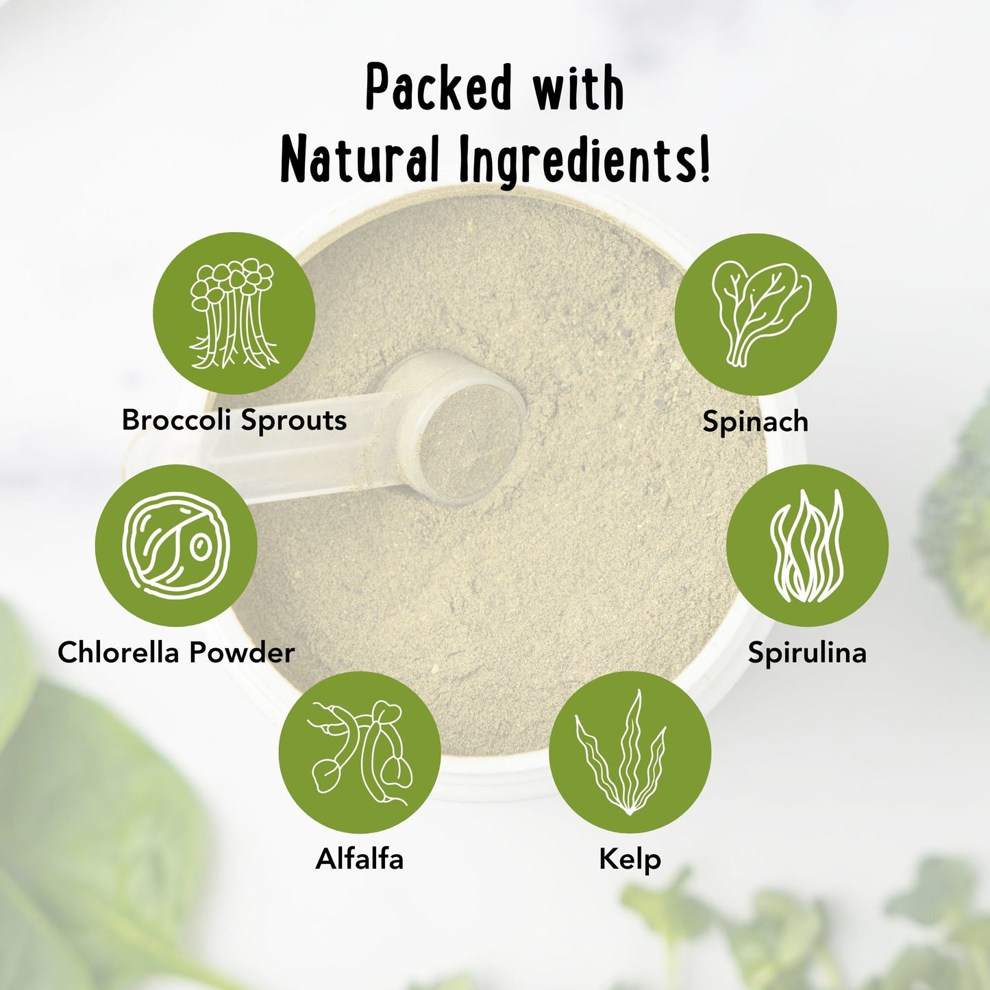 Super-Greens: Vitamin, Mineral & Probiotic Supplement for Dogs with Spirulina, Kelp, Green Tea, Spinach, Chlorella, & Brocolli Sprouts - 90 Scoops