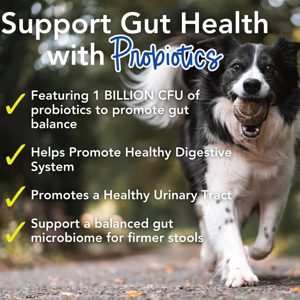 BUY 3 and SAVE 25%! iHeartDogs 24-in-1 Adult Multivitamin Daily+ Total Health Support Powder with Probiotics, Omega-3, Glucosamine, Mushrooms & Bone Broth