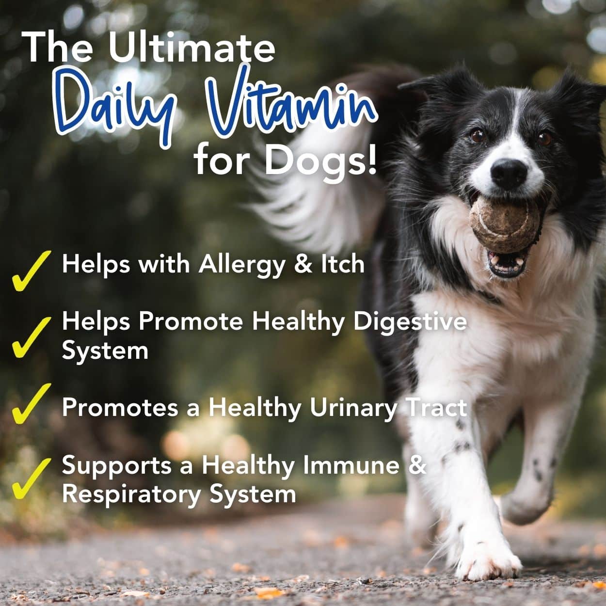 BUY 3 and SAVE 25%! iHeartDogs 24-in-1 Adult Multivitamin Daily+ Total Health Support Powder with Probiotics, Omega-3, Glucosamine, Mushrooms & Bone Broth