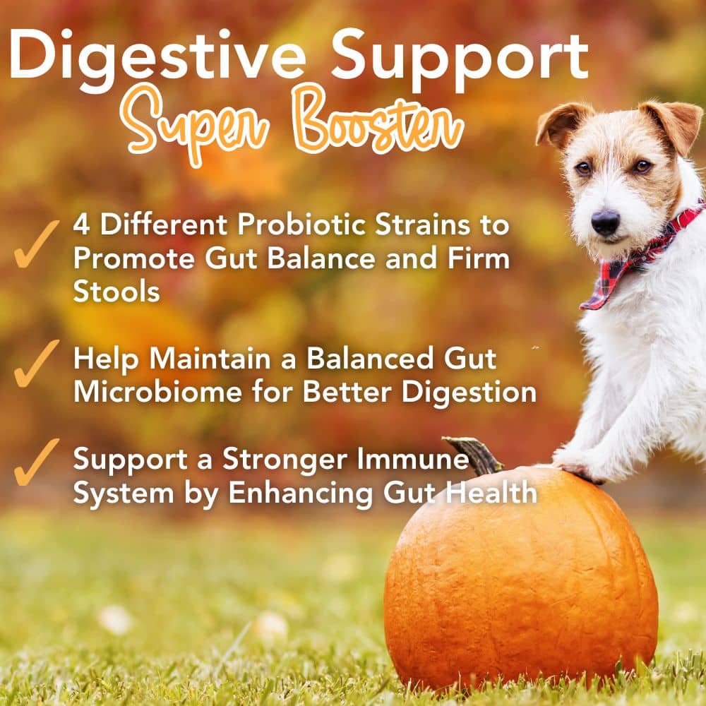 iHeartDogs Pupkin™ Probiotics, Prebiotics, & Postbiotics for Dogs with Pumpkin, Gut Soothing Bone Broth & Mushrooms- 30 scoops