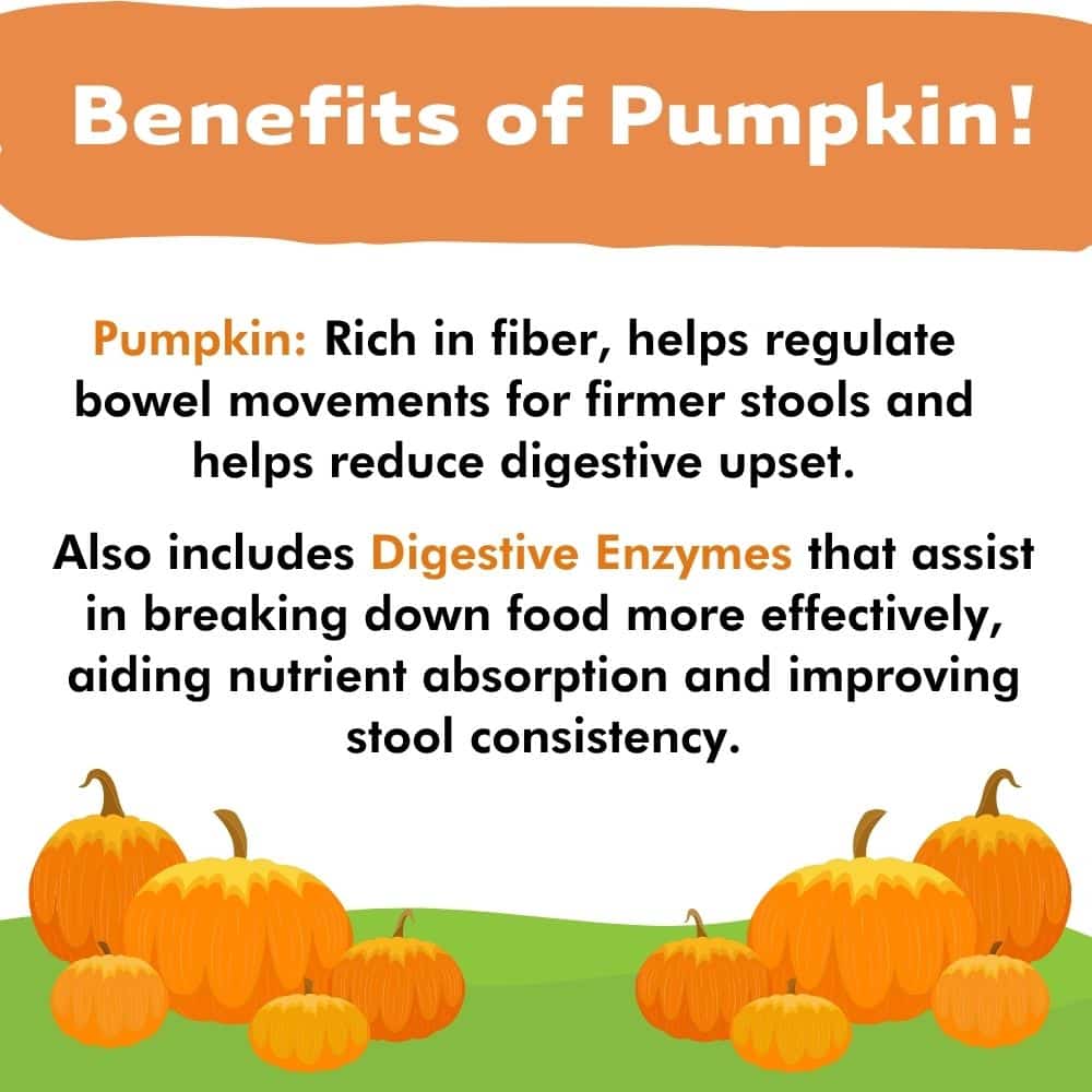 iHeartDogs Pupkin™ Probiotics, Prebiotics, & Postbiotics for Dogs with Pumpkin, Gut Soothing Bone Broth & Mushrooms- 30 scoops