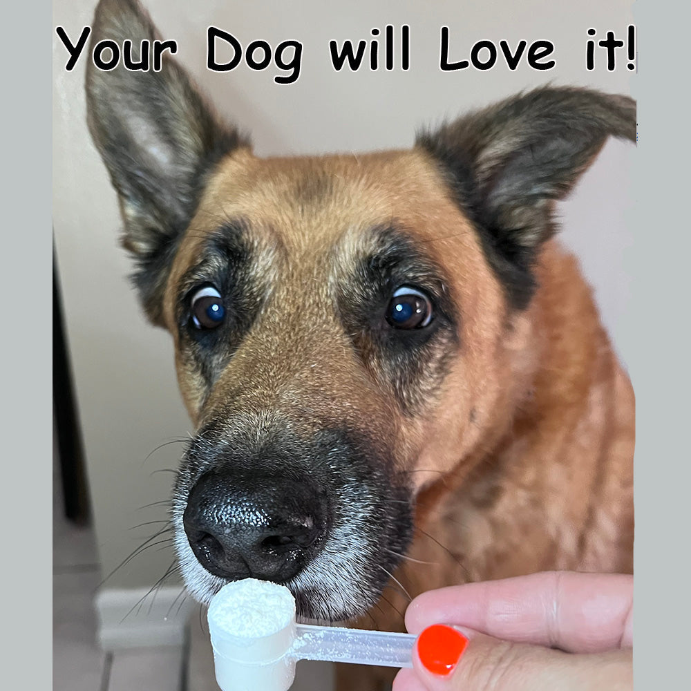 BUY 3 BAGS & SAVE iHeartDogs Milk 3-In-1 Dog Food Topper Boost- Ice Cream - Liquid Milk with Probiotics