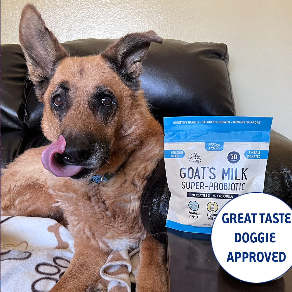 BUY 3 BAGS & SAVE iHeartDogs Milk 3-In-1 Dog Food Topper Boost- Ice Cream - Liquid Milk with Probiotics