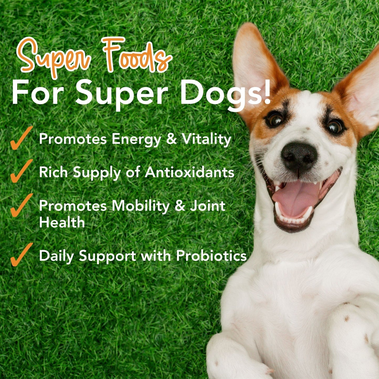Super-Greens: Vitamin, Mineral & Probiotic Supplement for Dogs with Spirulina, Kelp, Green Tea, Spinach, Chlorella, & Brocolli Sprouts - 90 Scoops