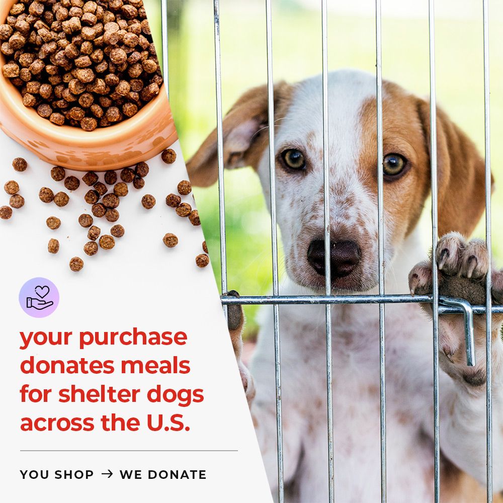 BUY 3 JARS & SAVE iHeartDogs Senior Super 7 Daily MegaVitamin For Dogs 7-In-1 Antioxidant Anti-Aging Support