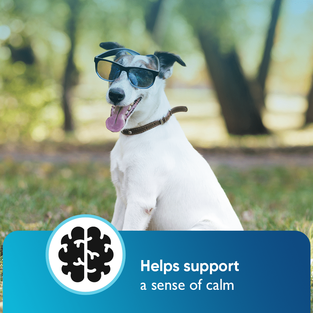 Cannanine™ Bacon Flavored Hemp Calming Soft Chews — 60 Count