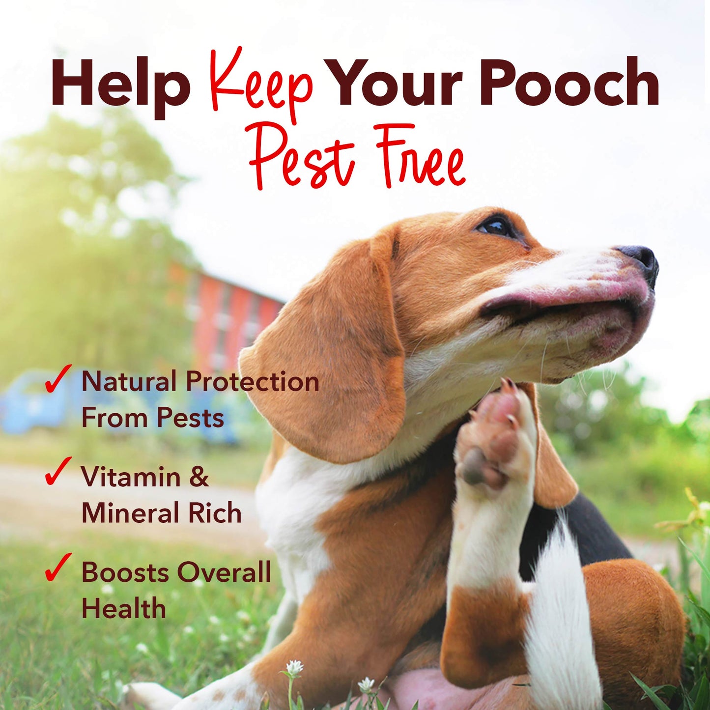 Flea & Tick Natural Defense Chews for Dogs with Brewer’s Yeast, Garlic & B Vitamins – 90 CT