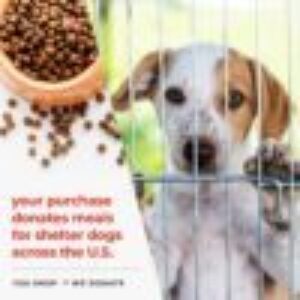 Ultimate Silicone Bath Massage Brush & Shampoo Accessory for your Long or Short Haired Dog