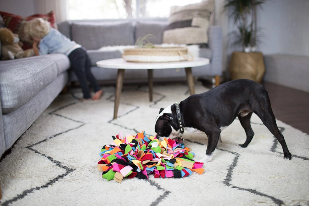 Sniff Diggy™ Fun Mental Stimulation Nose Work Snuffle Mat – 12″ x 12″