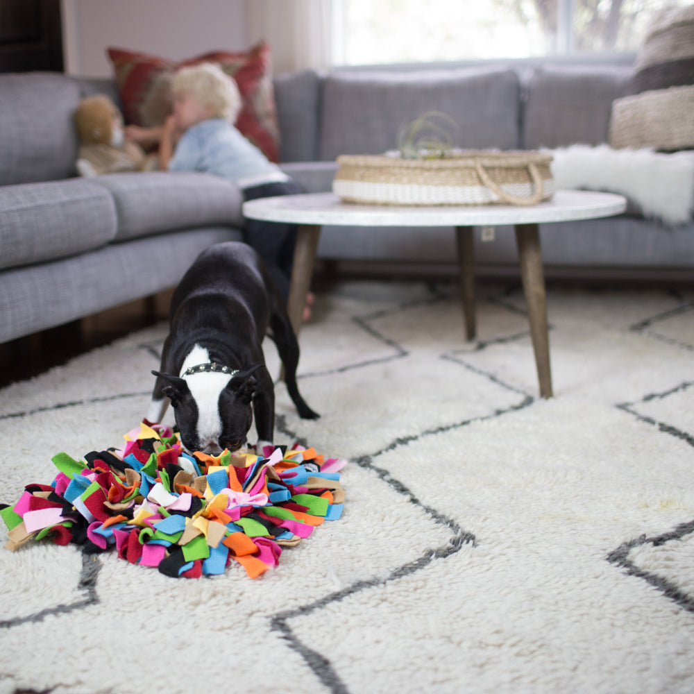 Sniff Diggy™ Fun Mental Stimulation Nose Work Snuffle Mat – 12″ x 12″