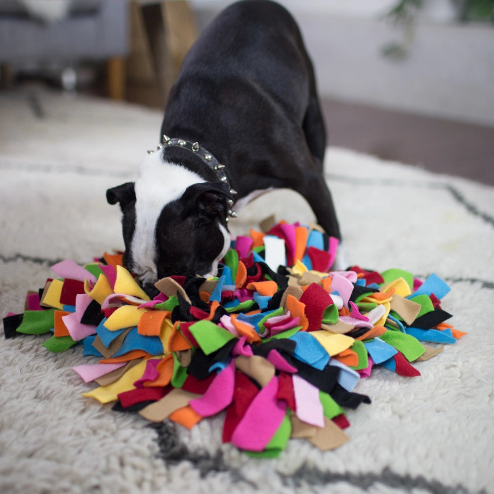Sniff Diggy™ Fun Mental Stimulation Nose Work Snuffle Mat – 12″ x 12″