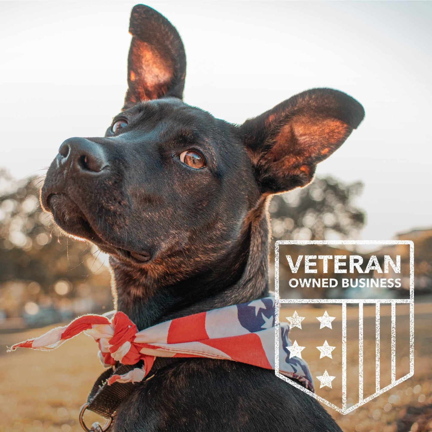 GET A FREE Paw, Nose & Skin Healing Balm with Purchase of 2 Honey Guard™ – Allergy & Itch Omega-3-6-9 Powder Extra Strength with Manuka Honey, Quercetin, Colostrum, Krill Oil and Probiotics