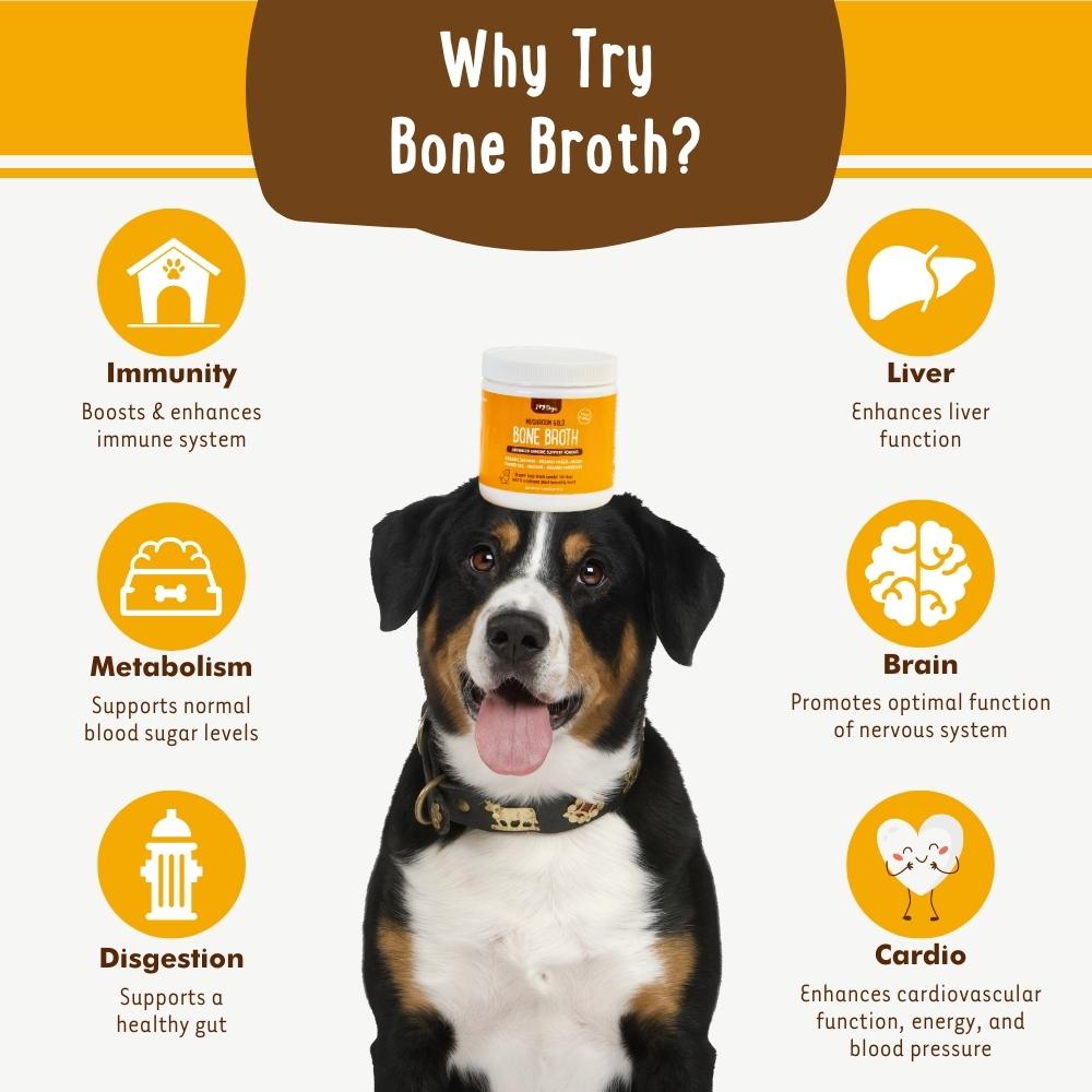 iHeartDogs Mushroom Bone Broth For Dogs Immune Support Powder - 90 scoops