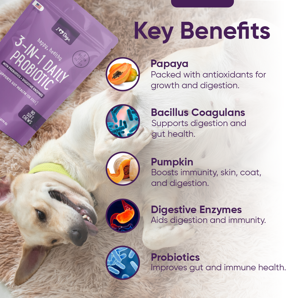 iHeartDogs 3-In-1 Probiotic Dog Chews with Pumpkin for Improved Digestion and Gut Health — 90 Count -Faire