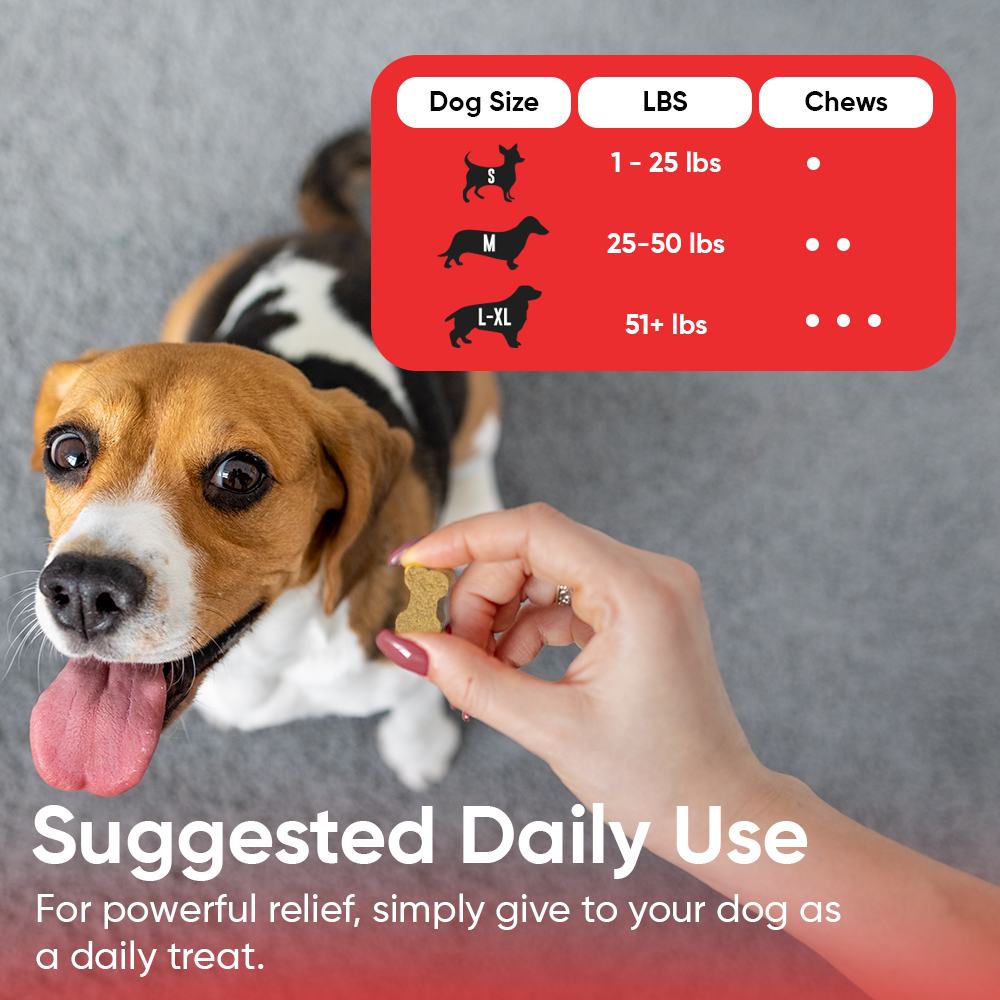 BUY 3 BAGS & SAVE iHeartDogs Allergy & Itch Relief Chews for Dogs