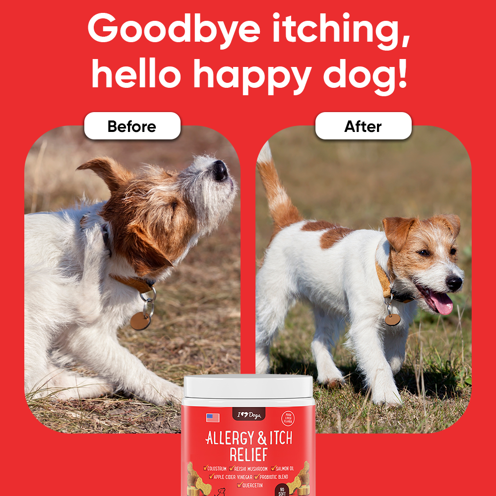 BUY 6 BAGS & SAVE iHeartDogs Allergy & Itch Relief Chews for Dogs