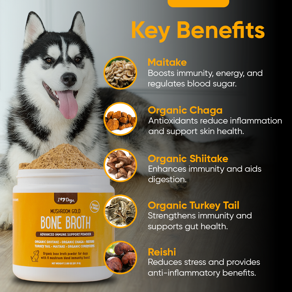 BUY 2 AND SAVE Mushroom Bone Broth For Dogs Immune Support Powder