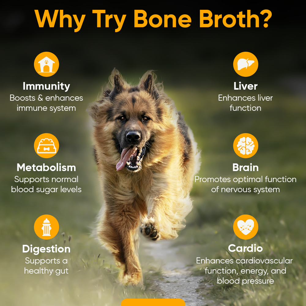 BUY 3 AND SAVE Mushroom Bone Broth For Dogs Immune Support Powder