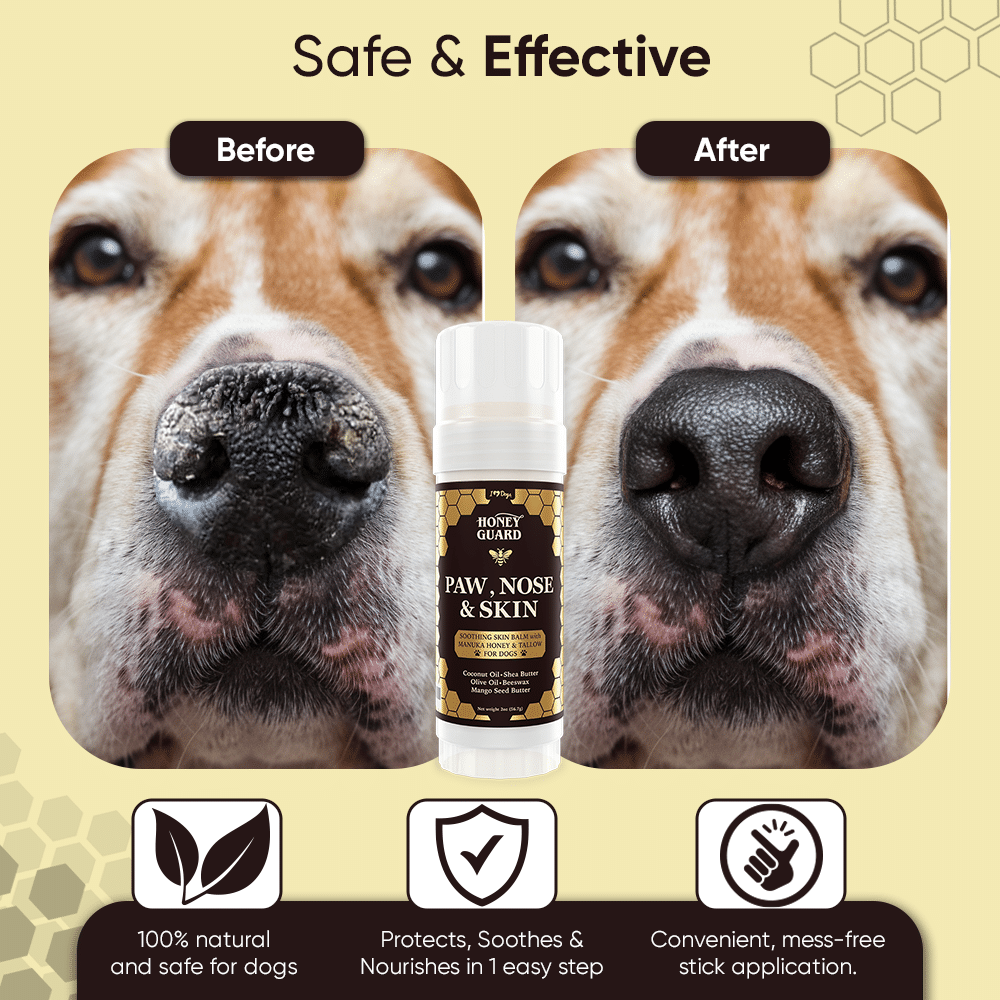 GET A FREE Paw, Nose & Skin Healing Balm with Purchase of 2 Honey Guard™ – Allergy & Itch Omega-3-6-9 Powder Extra Strength with Manuka Honey, Quercetin, Colostrum, Krill Oil and Probiotics