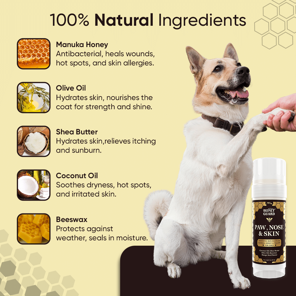 GET A FREE Paw, Nose & Skin Healing Balm with Purchase of 2 Honey Guard™ – Allergy & Itch Omega-3-6-9 Powder Extra Strength with Manuka Honey, Quercetin, Colostrum, Krill Oil and Probiotics