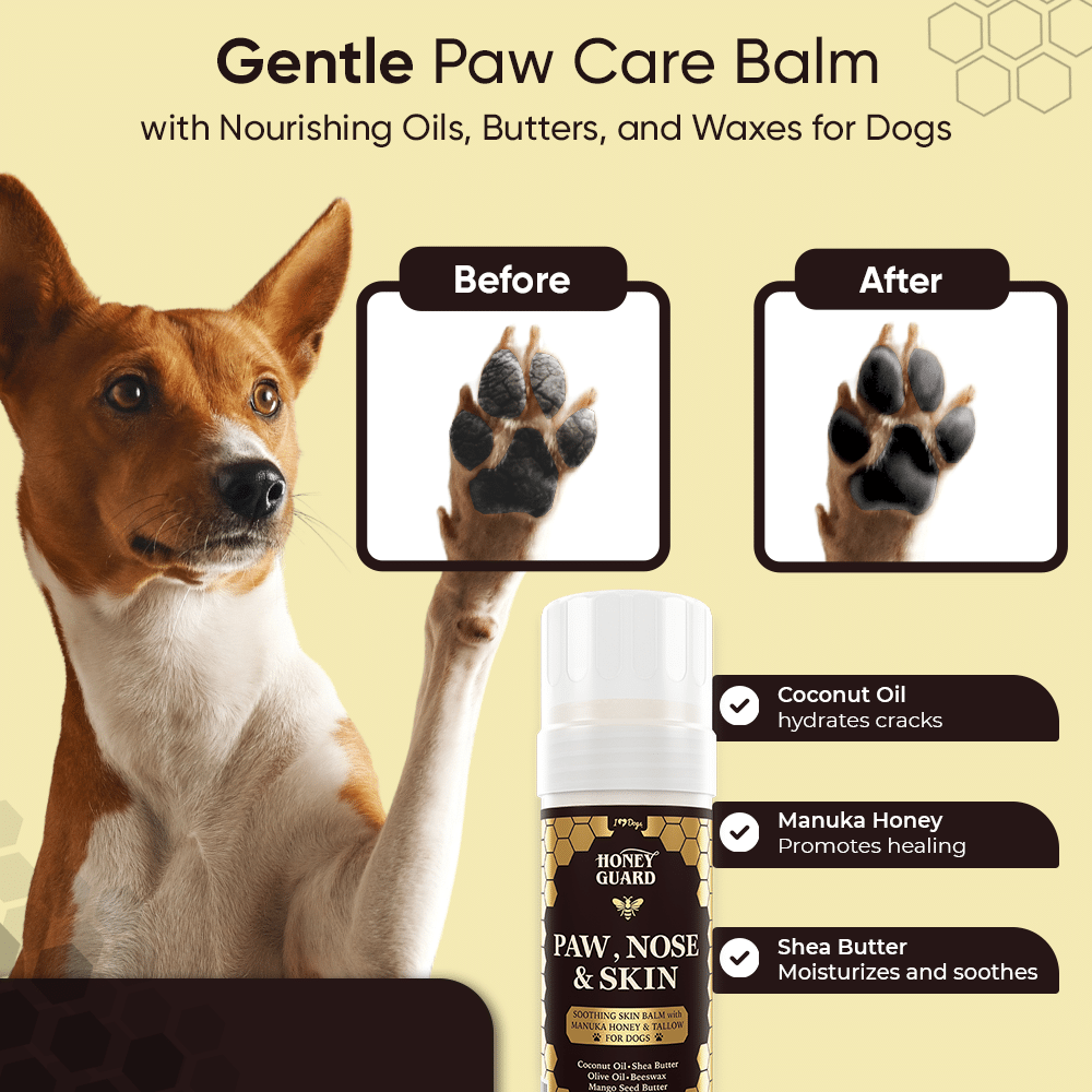 GET A FREE Paw, Nose & Skin Healing Balm with Purchase of 2 Honey Guard™ – Allergy & Itch Omega-3-6-9 Powder Extra Strength with Manuka Honey, Quercetin, Colostrum, Krill Oil and Probiotics