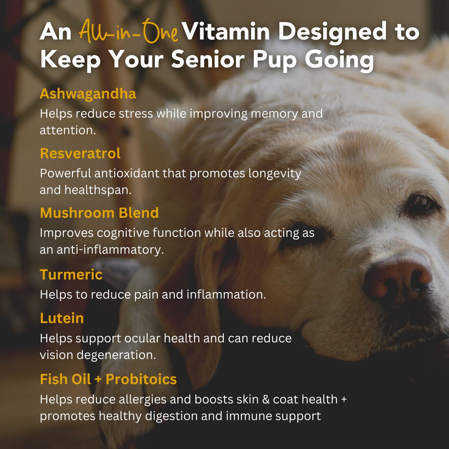 Senior Super 7 Daily MegaVitamin For Dogs 7-In-1 Antioxidant Anti-Aging Support With Probiotics For Longevity and Cognitive Boost - 60 Chews