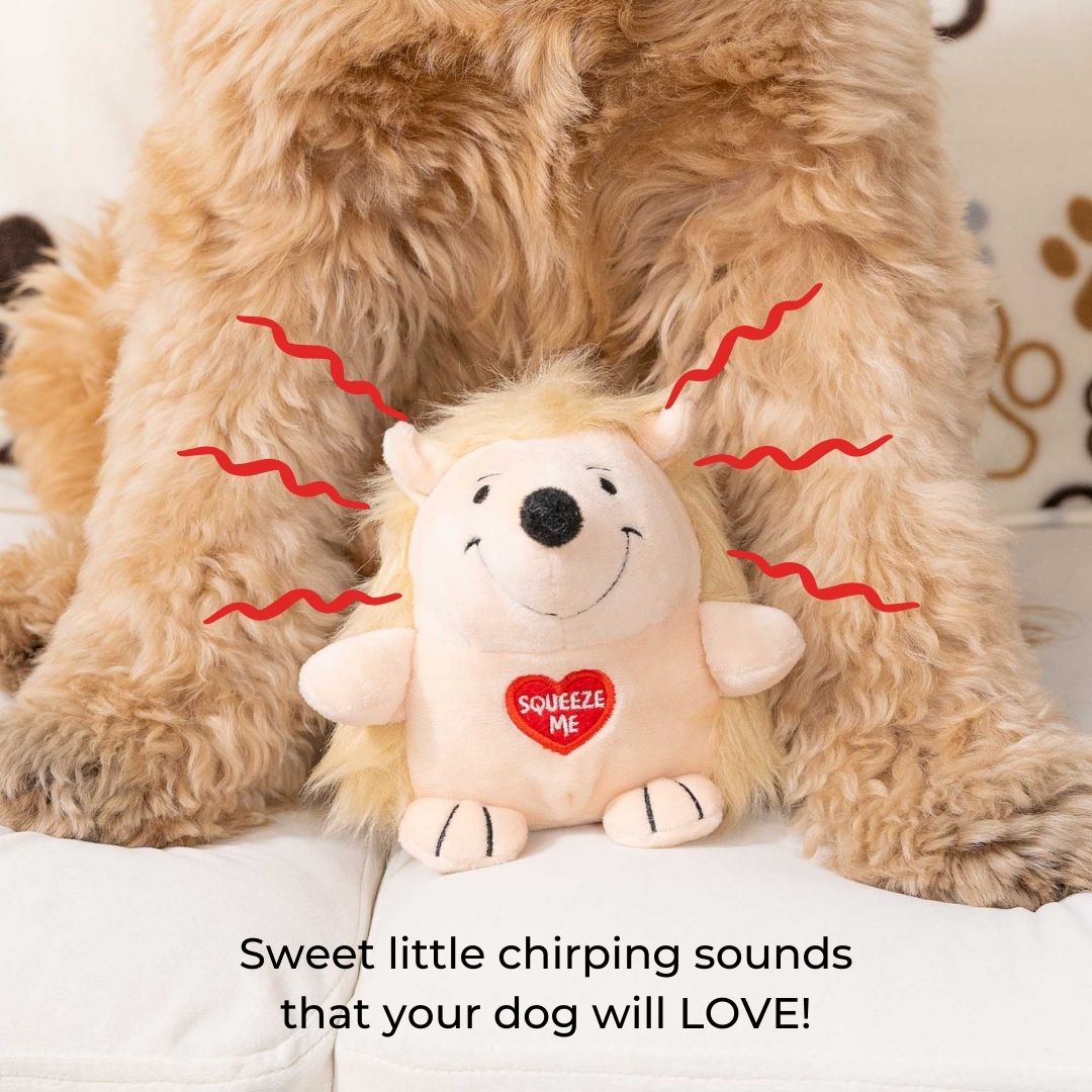CRAZY Chirping Chattering Hedge Hog Dog Toy - Your Pup Will Go WILD!