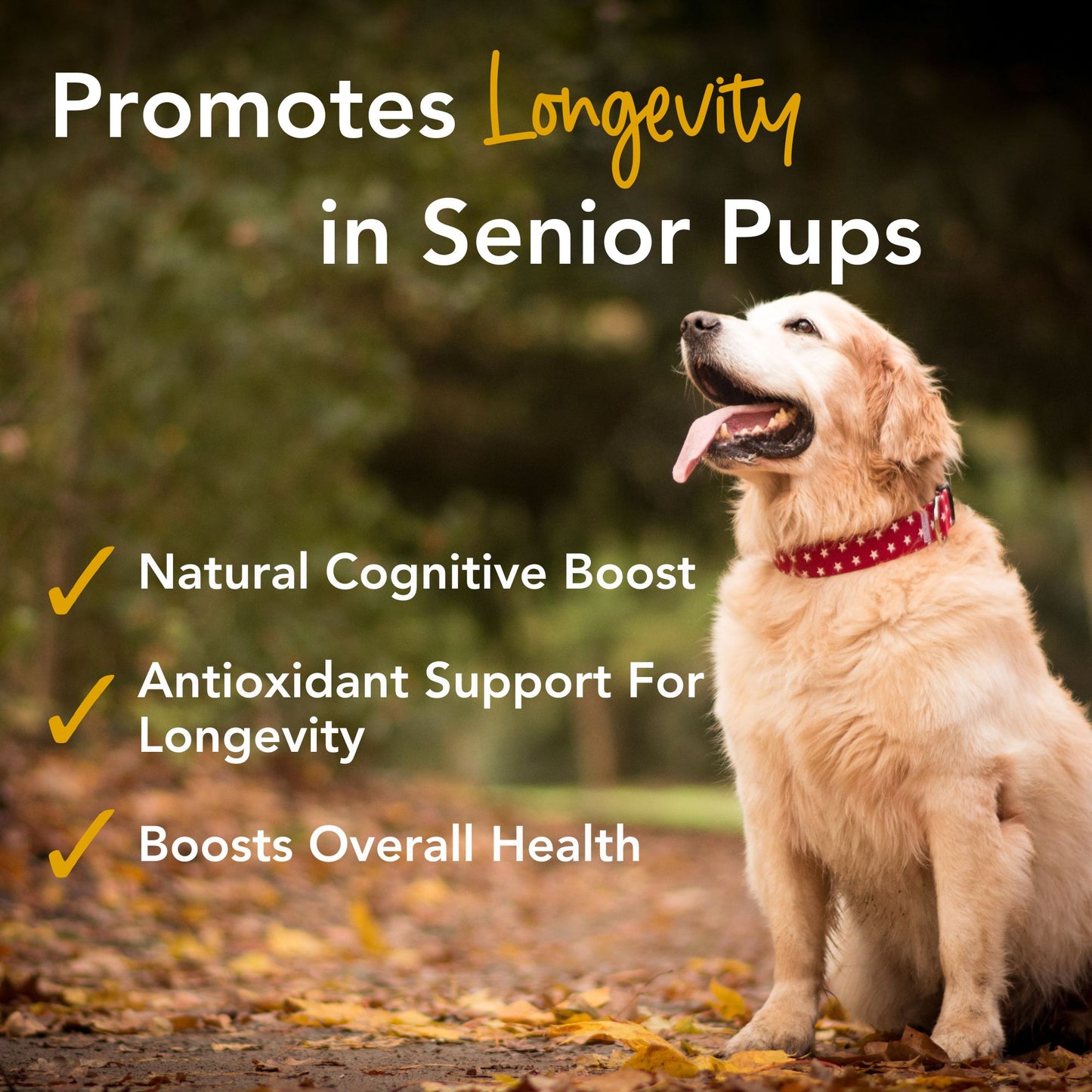 iHeartDogs Senior Super 7 Daily MegaVitamin For Dogs 7-In-1 Antioxidant Anti-Aging Support - 60 Chews