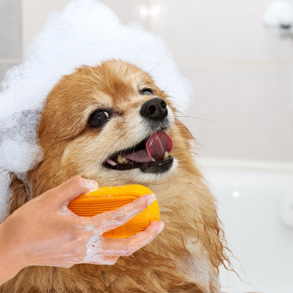 Ultimate Silicone Bath Massage Brush & Shampoo Accessory for your Long or Short Haired Dog