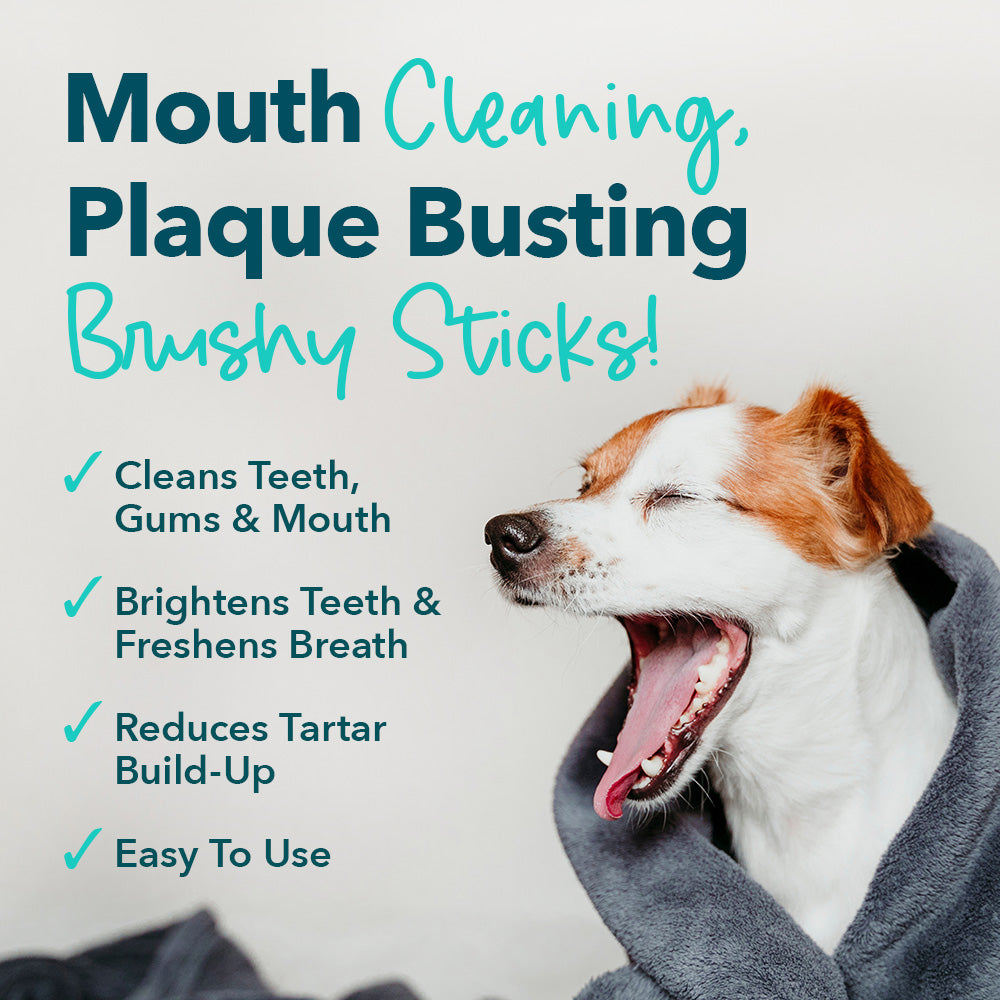 BUY IN BULK & SAVE- 6 BAGS Healthy™ Brushy Sticks Dental Dog Treats – Dental Chews for Dogs – 30 Mini Sticks-