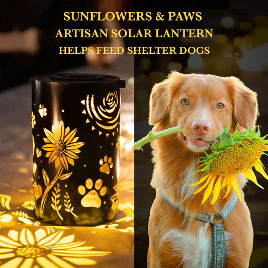 Sunflowers &amp; Paws- Artisan Shadow Solar Lantern - Deal 25% Off!
